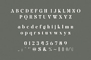 Western Finalist – Vintage Serif, a Serif Font by BrandSemut (Thumbnail 8 of 8)