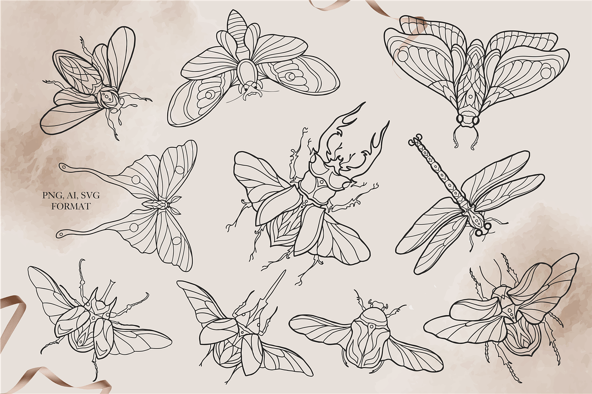 Insects Clipart - Black Line, PNG, an Illustration by Siriliadka Dreams (Photo 4 of 9)