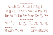 Miregle Modern Elegant Serif Font, a Serif Font by Rasio Studio (Thumbnail 2 of 11)