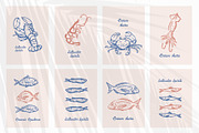 Sea Creatures Set, an Illustration by Checks & Dots (Thumbnail 4 of 4)