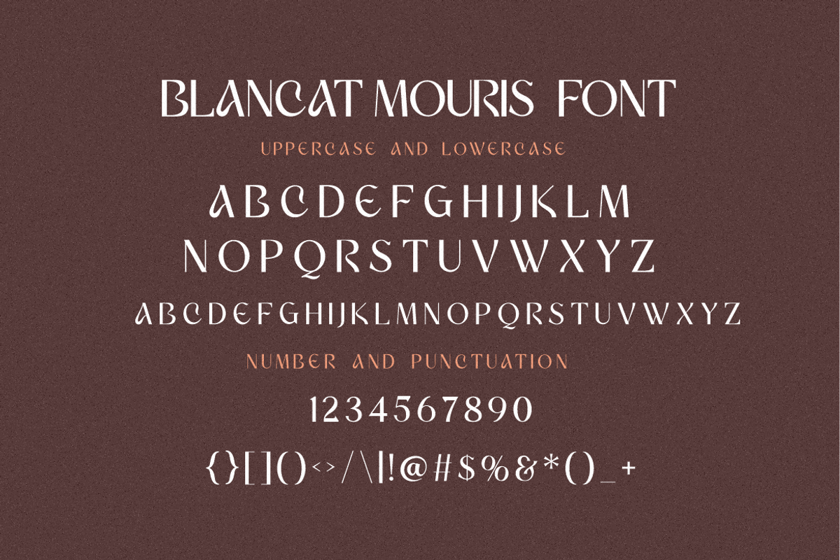 Blancat Mouris Serif, a Serif Font by Typegoals Studio (Photo 8 of 9)