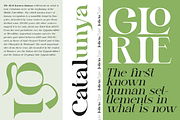 Gretha Family | 14 font family, a Serif Font by Jolicia Type (Thumbnail 5 of 12)