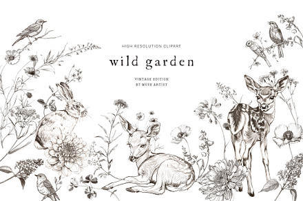 WILD GARDEN Pencil Sketch Clipart, a Decorative Illustration by Muse Artist