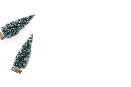 Christmas trees on white background