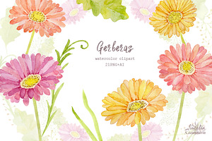 Watercolor Set Of Gerbera Flowers