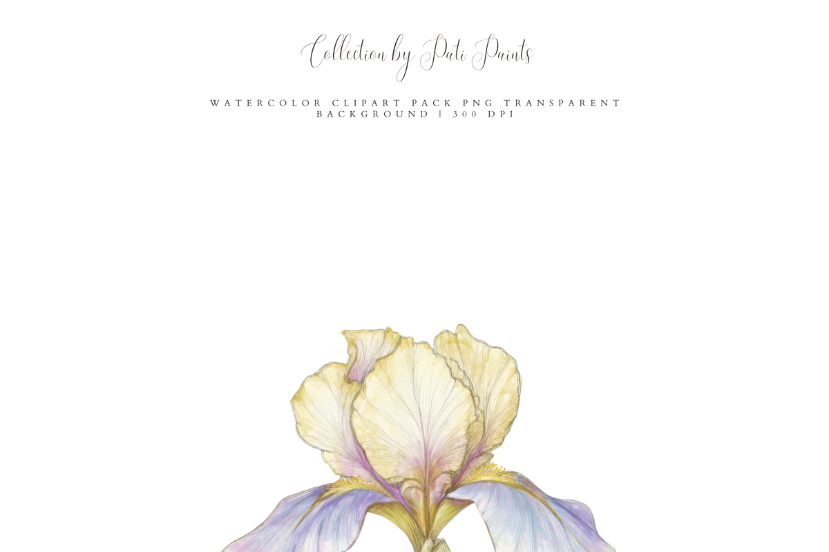 Vintage Floral Songbirds Clipart Set, a Decorative Illustration by Pati Paints (Photo 9 of 11)