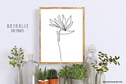 Strelitzia Monstera Digital Prints, a Decorative Illustration by Sunset&Sea Design (Thumbnail 3 of 4)