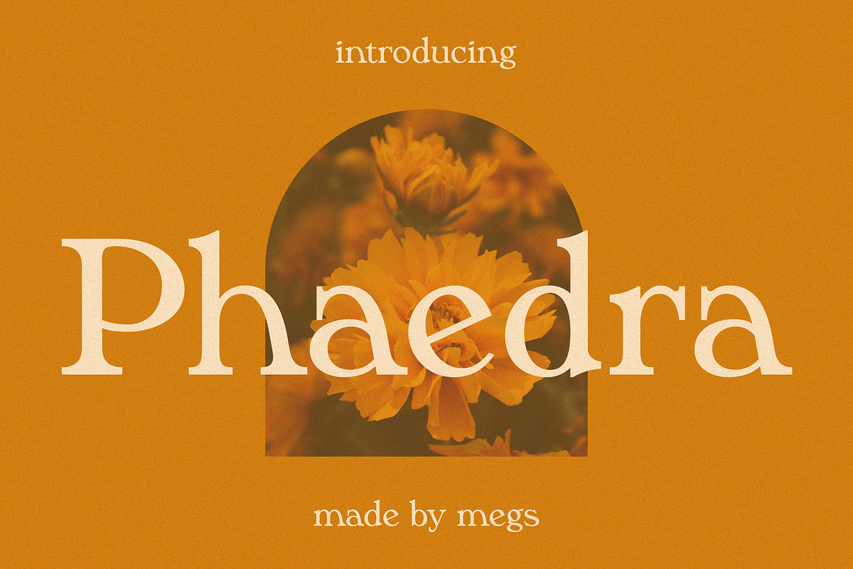 Phaedra // A Retro Serif Typeface, a Serif Font by Megs Lang (Photo 1 of 17)