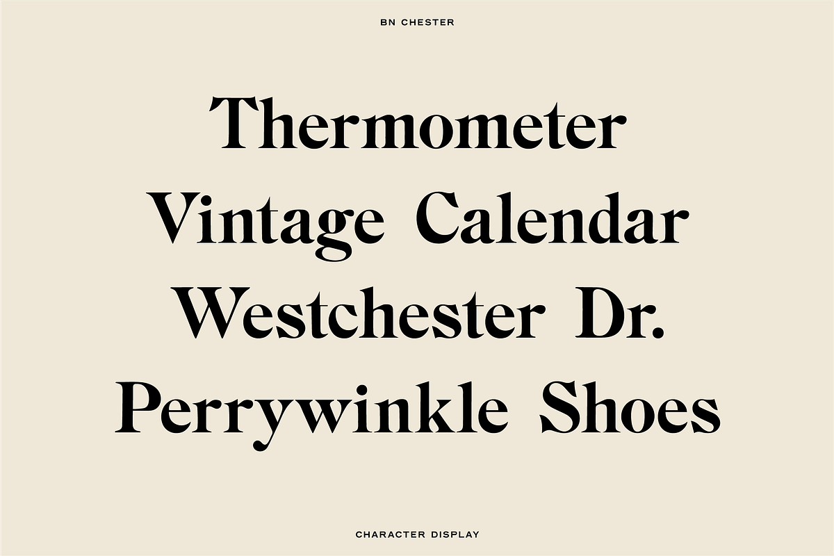 The Diverse Font Bundle, a Sans Serif Font by Bnick (Photo 9 of 34)