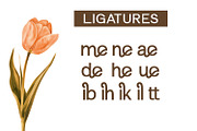 Elemendy, a Sans Serif Font by Rishsketch (Thumbnail 9 of 12)