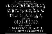 Brokenheart, a Handwritten Font by FreshTypeINK (Thumbnail 3 of 8)