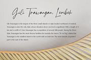 Tropical Country - Handwritten Font, a Script Font by Sronstudio (Thumbnail 5 of 10)