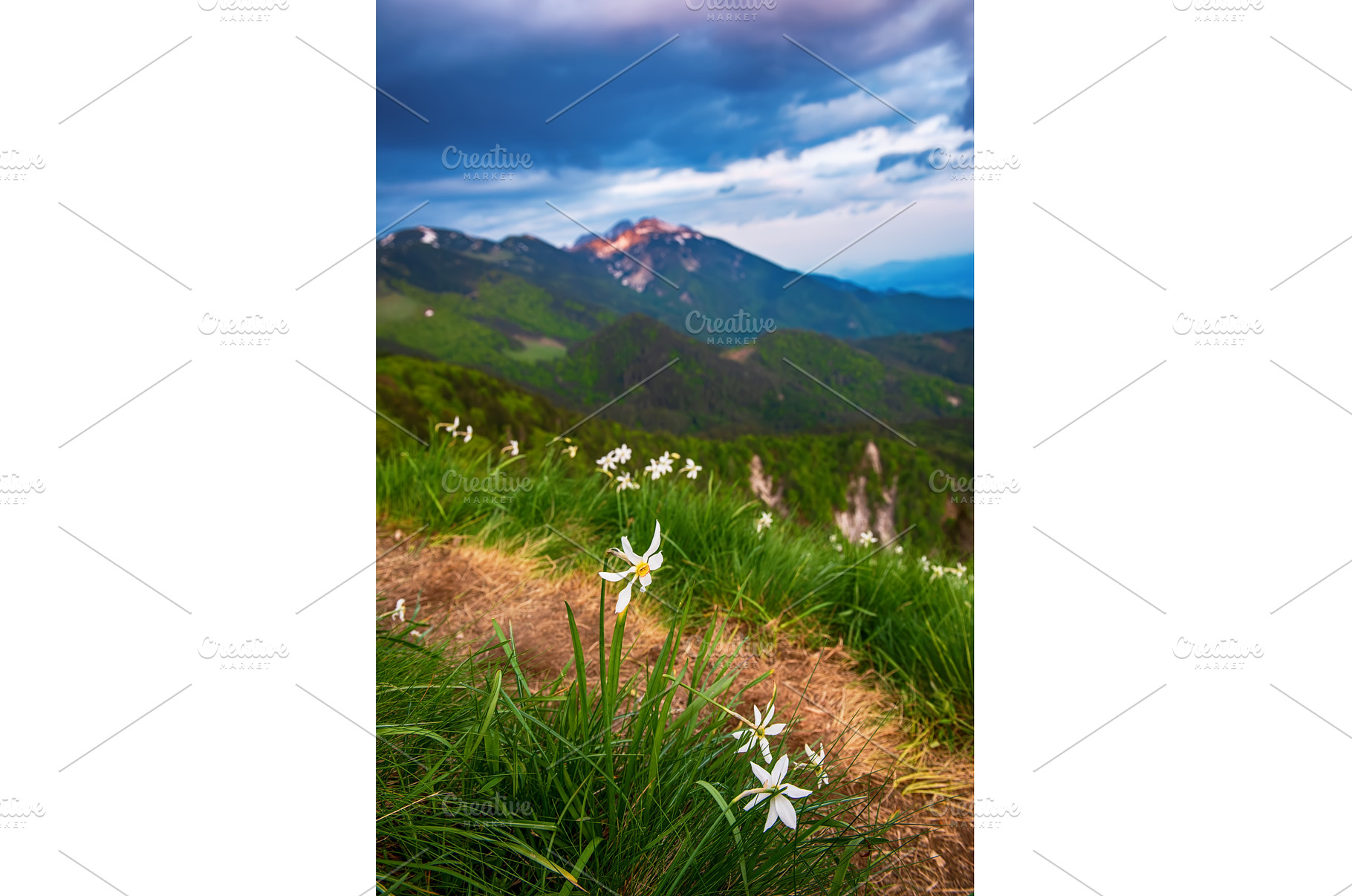 Beautiful mountain landscape with, a Nature Photo by Nature and travel