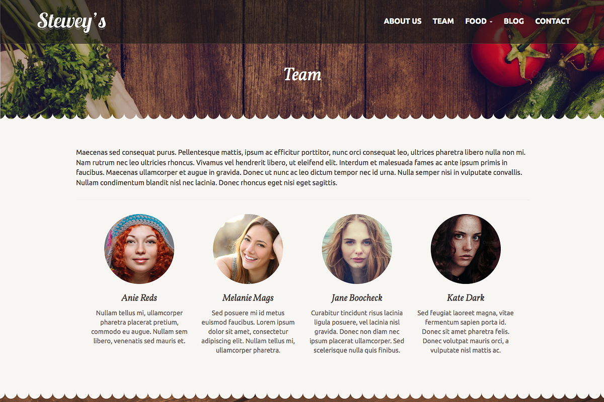 Stewey's - best for bar & restaurant, a WordPress Template by bozekmichal (Photo 3 of 4)