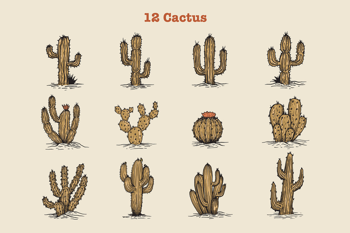 Western Desert Hand Drawn Elements, an Object Illustration by Artolabs (Photo 2 of 9)