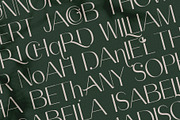 Celine - Chic Ligature Sans & Extras, a Sans Serif Font by SilverStag Type Foundry (Thumbnail 11 of 23)