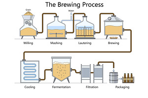 Brewing Process Diagram for Beer, an Illustration by AlexArt