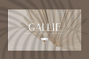 Gallie - PowerPoint Template, a Presentation Template by Secret Visual (Thumbnail 2 of 11)