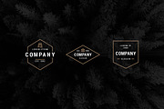 Modern Vintage Logo Templates, a Branding & Logo Template by P.F. Creative Lab (Thumbnail 2 of 6)