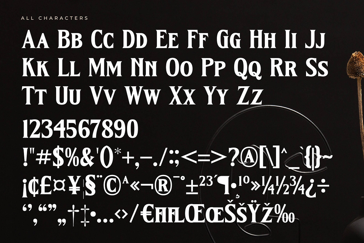Kingtron Modern Serif Display, a Serif Font by Letterena Studios (Photo 12 of 15)