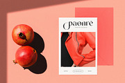 Mending – Stylish Display Serif Font, a Serif Font by BrandSemut (Thumbnail 6 of 10)