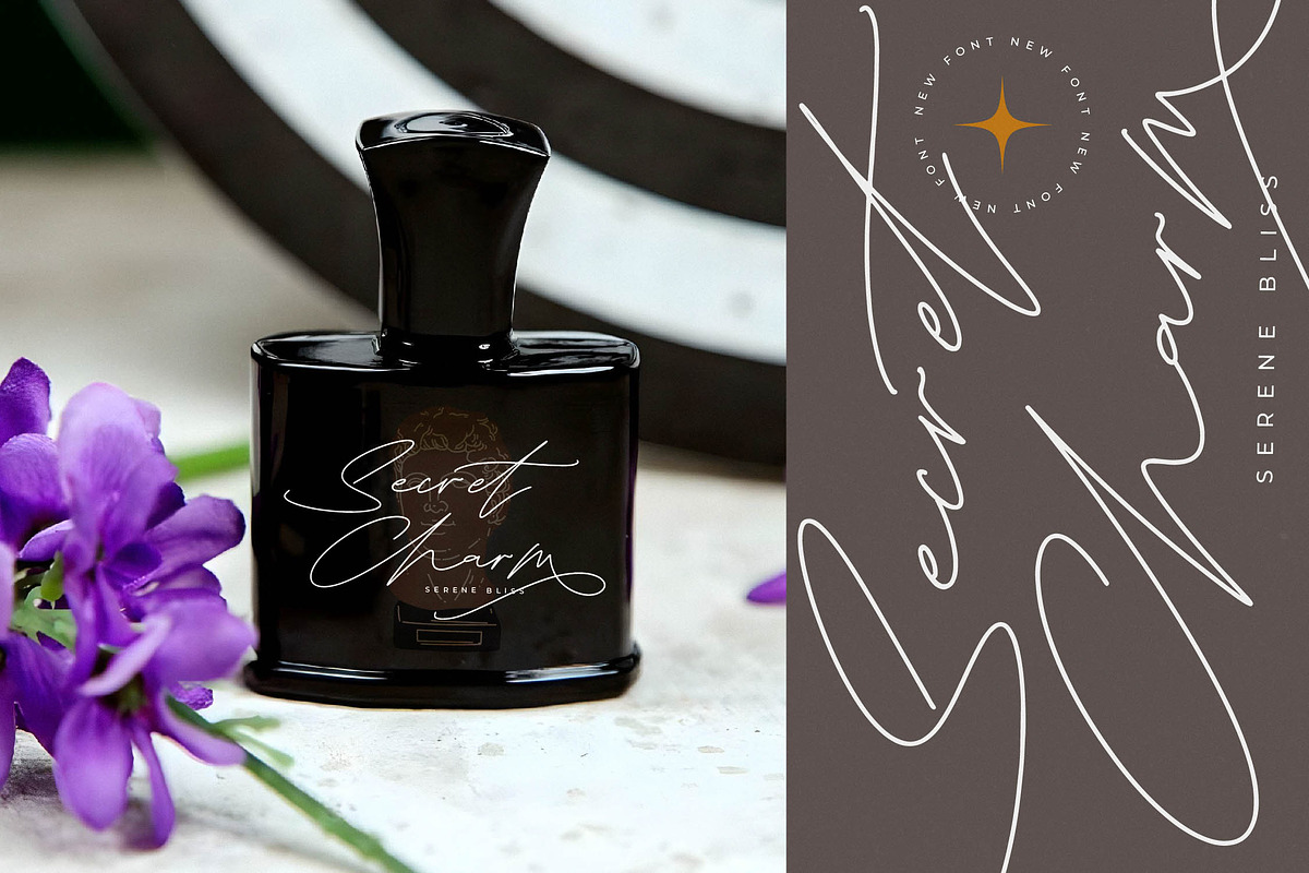 Silhouete Charming Monoline Elegant, a Script Font by stylishtype.co (Photo 11 of 20)