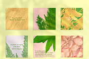 Nature Graphics Collection #03, an Object Graphic by ARKS ACADEMY (Thumbnail 13 of 13)