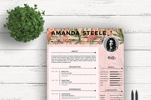 Flamingo CV / Resume Template / N