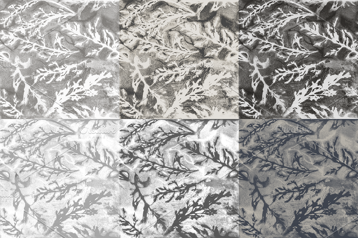 Monotype Grass Pattern Collection, a Pattern Graphic by Note And Silence (Photo 3 of 11)