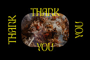 Dream Work Classic Modern Serif, a Serif Font by UICreative (Thumbnail 10 of 12)