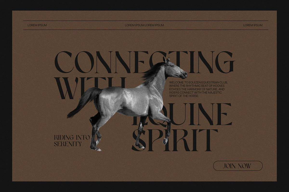 Pixora - Elegant Classy Serif, a Serif Font by Luna Shop (Photo 4 of 8)