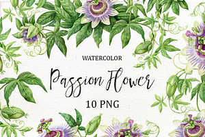 Watercolor Passion Flower.