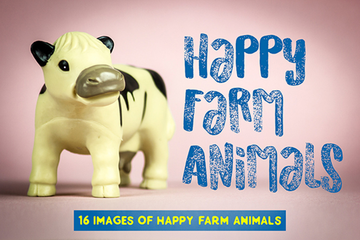 Happy Farm Animals, an Animal Photo by Compositor's Corner (Photo 1 of 5)
