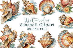 Watercolor Seashell Clipart, an Illustration by Libby Wishes