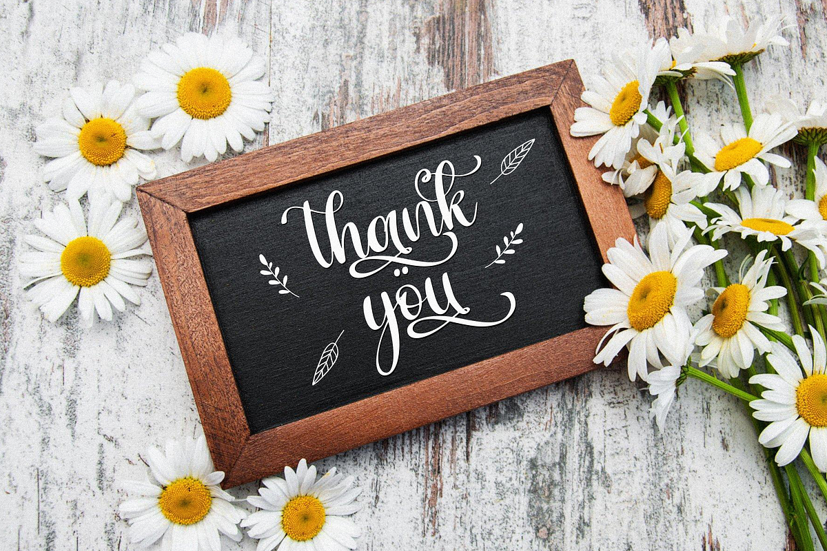 demilan, a Script Font by Essentials Studio (Photo 10 of 10)