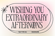 TAN - IMAGINAIRE, a Serif Font by TanType (Thumbnail 2 of 12)