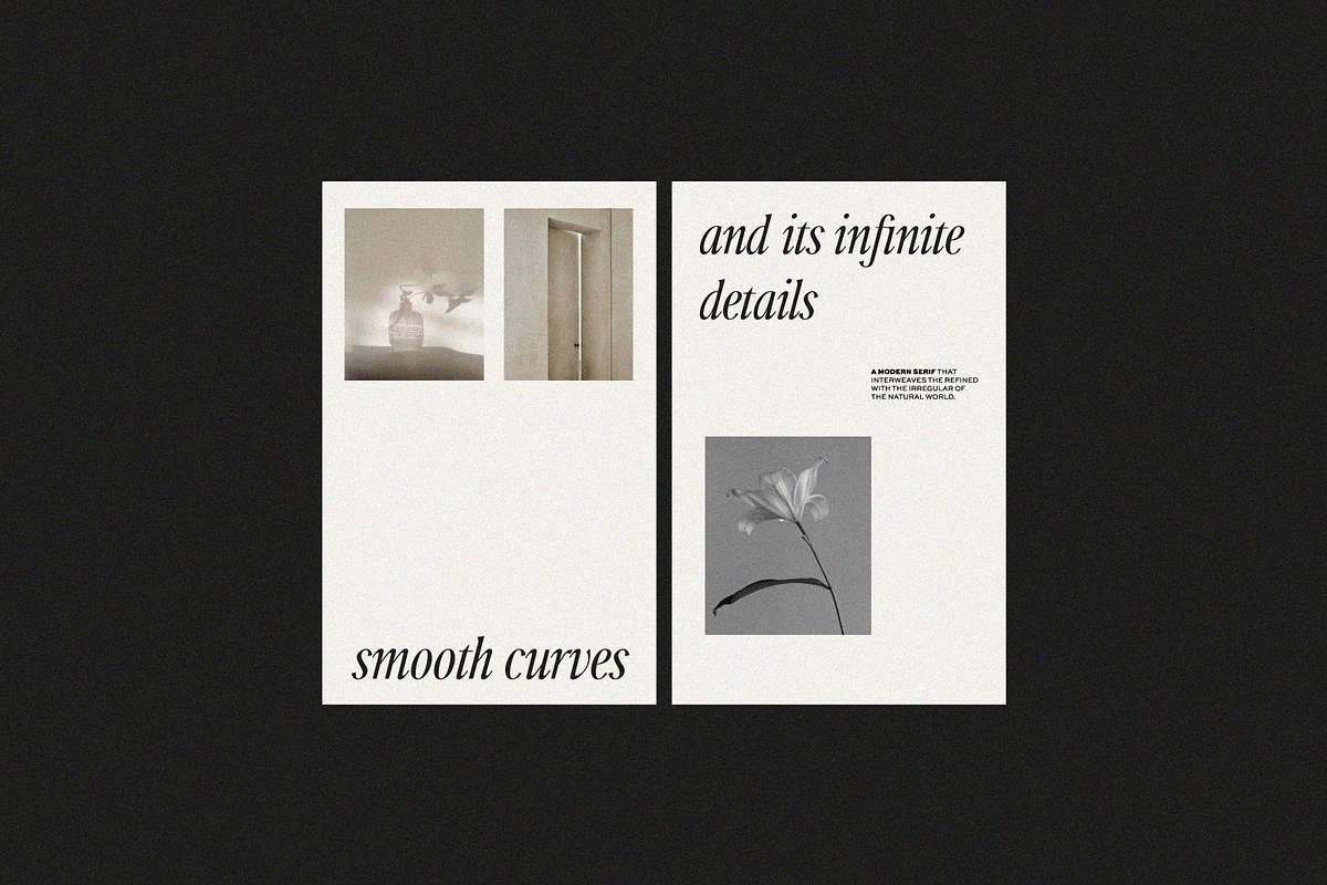 Ophelia - Modern Serif Font, a Serif Font by The Peach Shop (Photo 7 of 16)