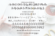 Daily | Script Font, a Handwritten Font by Scratchones (Thumbnail 7 of 9)