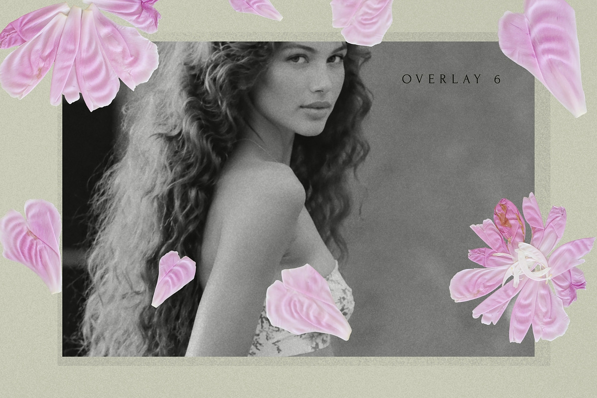 Petals Botanical Overlay Kit & Paper, an Object Graphic by Allure Art (Photo 14 of 22)