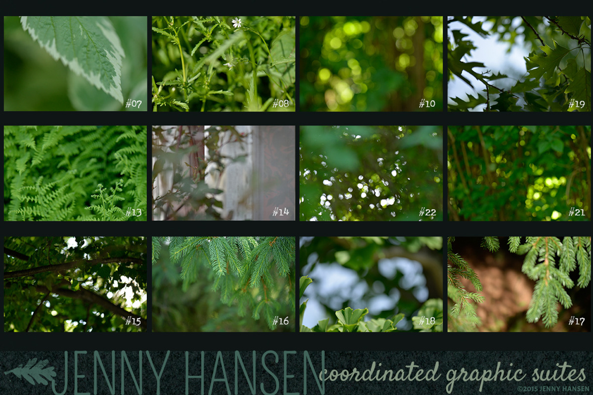 Photo Bundle: Mysterious Foliage, a Texture Graphic by Jenny Hansen Suites (Photo 5 of 5)