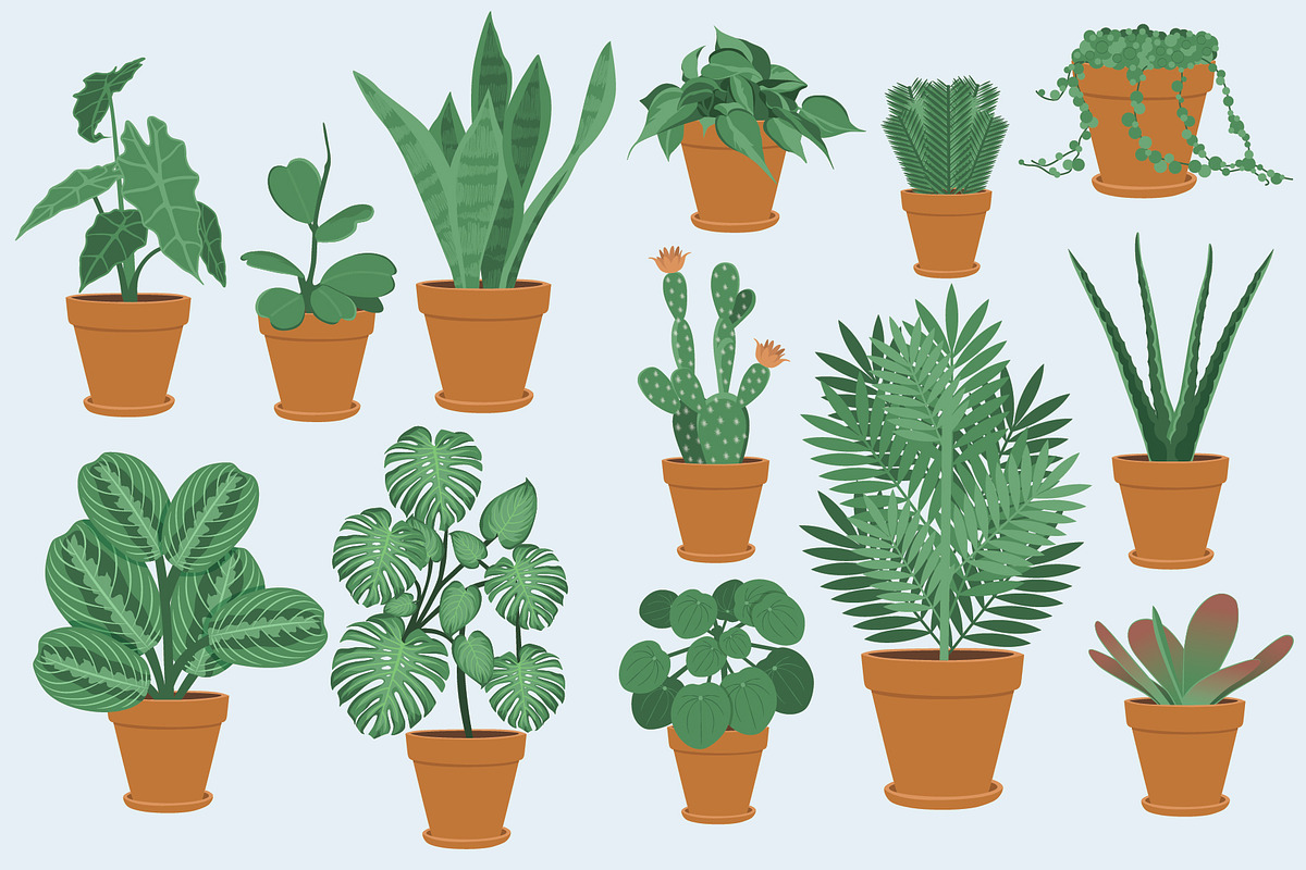 Potted House Plants Vector Clipart, an Illustration by Putnam Road Art (Photo 2 of 3)