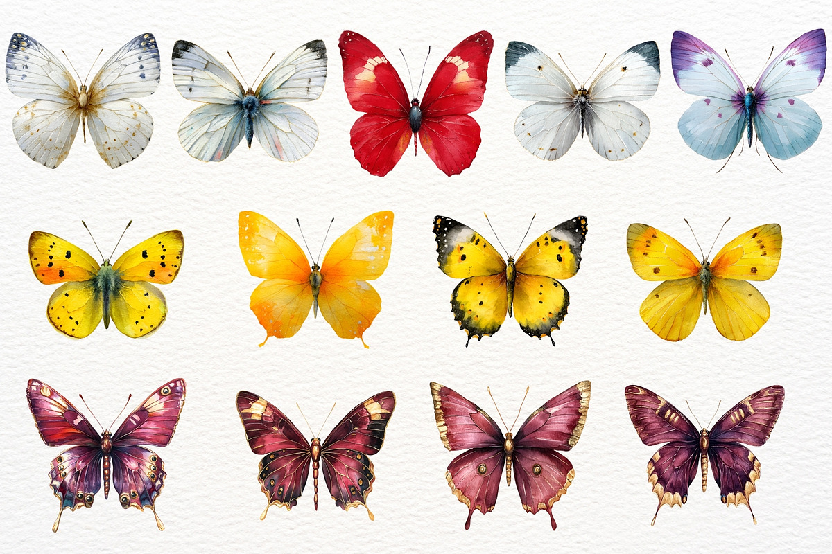 Floral Butterfly Clipart Summer PNG, an Animal Illustration by SugarCloudStudioArt (Photo 7 of 8)