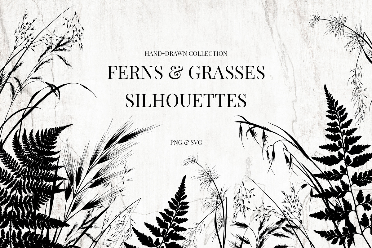 Fern and Grass Silhouettes, a Decorative Illustration by AW Studios (Photo 1 of 6)