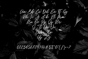 Miss Catlyne // Handwritten Script, a Script Font by Bluestudio (Thumbnail 7 of 10)