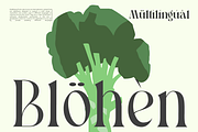 Pavon - 6 Tropic Family, a Serif Font by Dharmas Studio (Thumbnail 16 of 16)