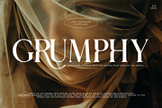 The Ladybach | Elegant Serif, a Serif Font by Pentagonistudio (Thumbnail 2 of 10)