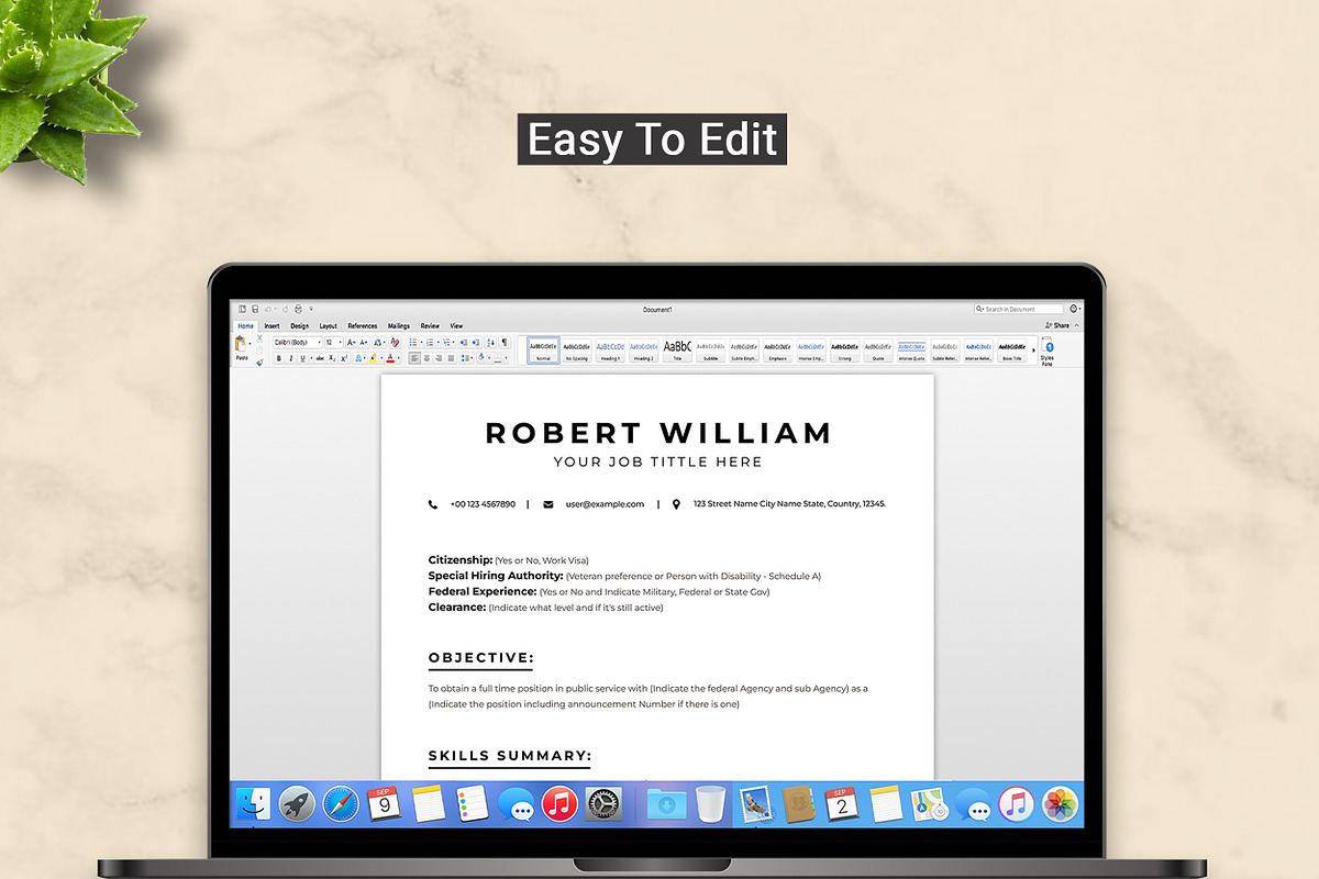 USAJob Resume Template, a Resume Template by ResumeInventor (Photo 5 of 9)
