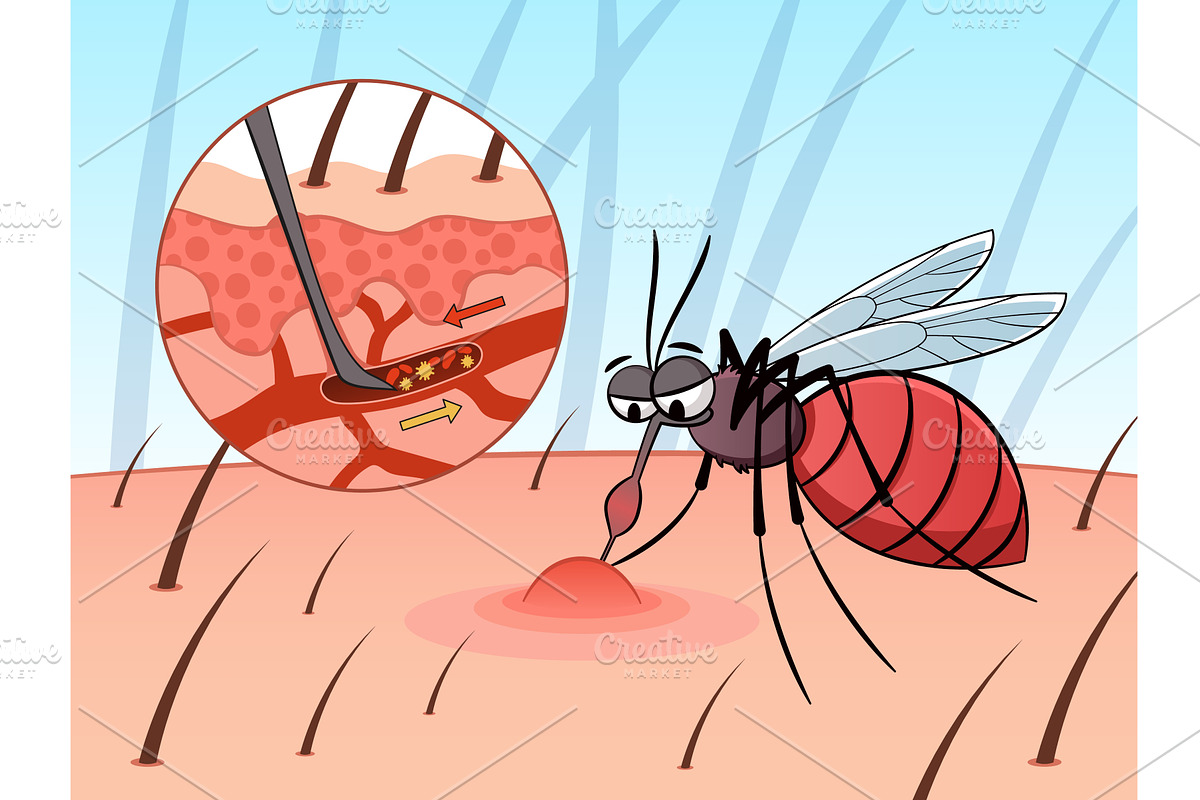 Mosquito drinks blood. Parasitic, an Object Illustration by YummyBuum