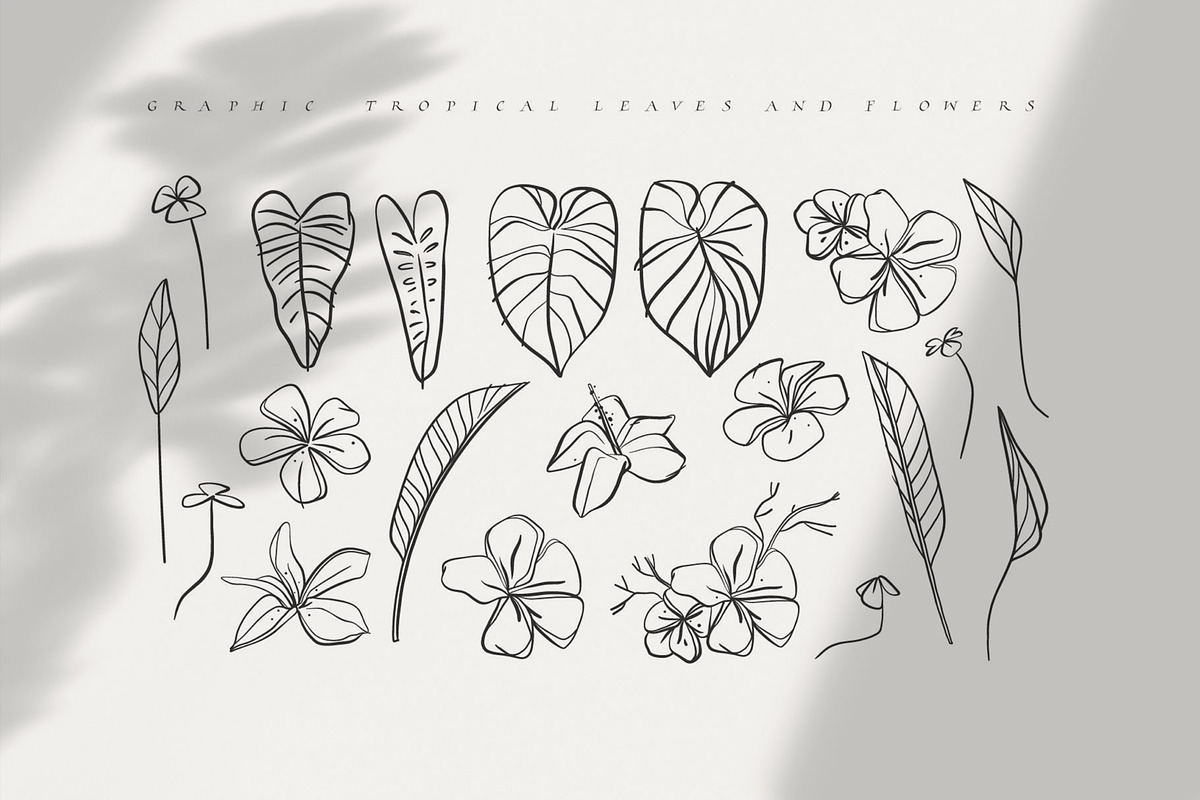 Palm summers, an Object Illustration by Anastasy_helter (Photo 2 of 20)