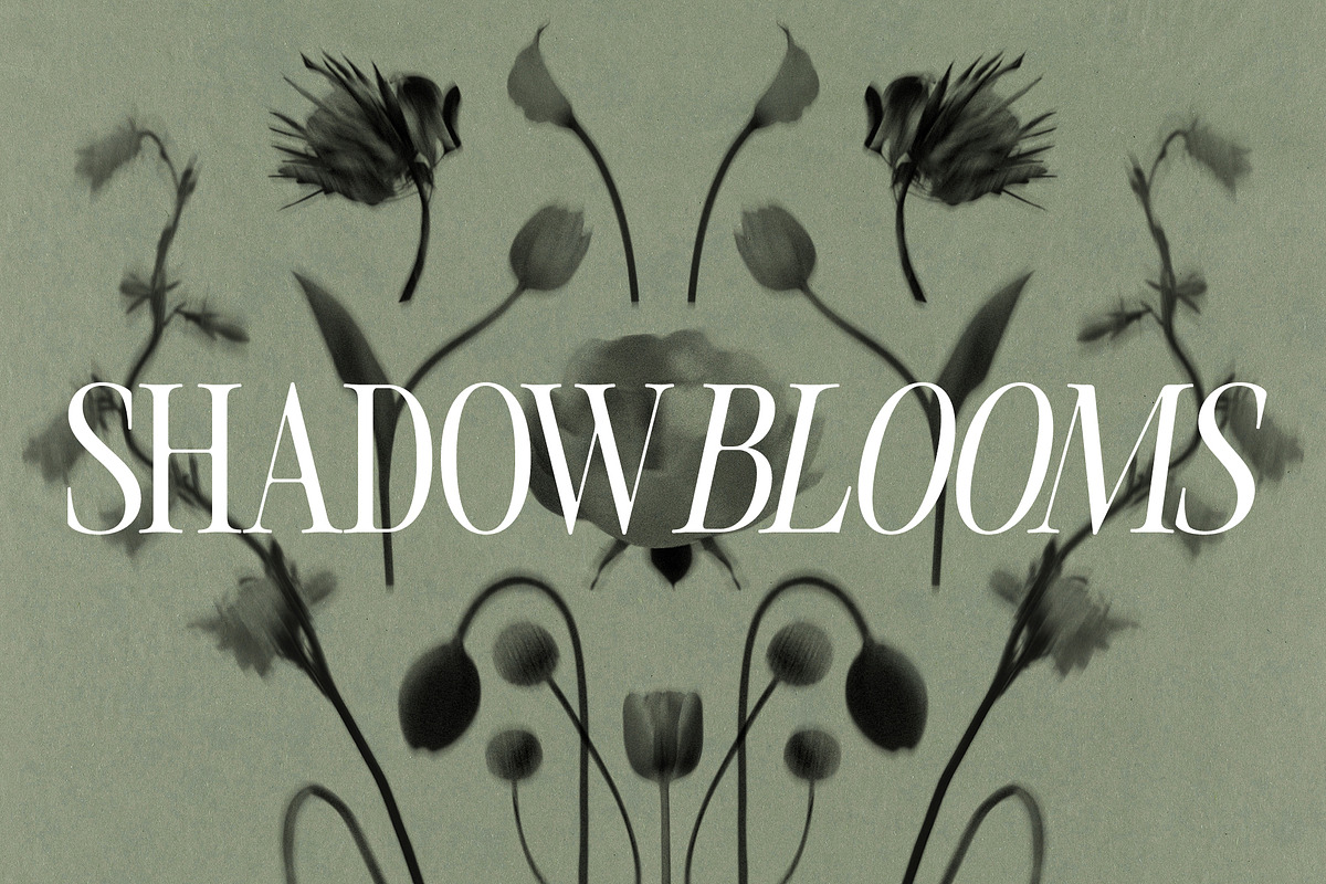 Shadow Blooms, an Object Graphic by Dina Mae (Photo 5 of 10)
